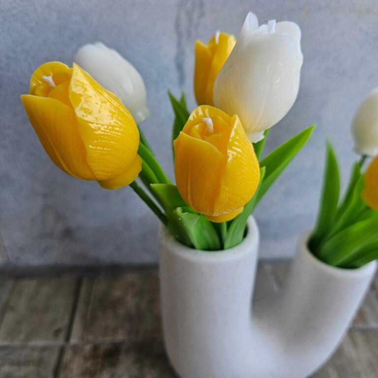 תמונה של WhatsApp‏ 2025-06-03 בשעה 09.03